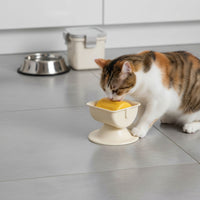 Wobbling Licking Bowl Boredom Reliever Feline Licking Bowl Spill-Resistant