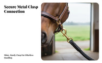 Sturdy Duty Horse Lunge Rope Gentle on Hands Nylon Training Rope with Snap Sturdy Duty Training Lead Comfortable Grip