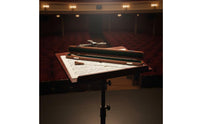 Fiberglass Conductor Music Rod Easy to Hold Wooden Music Rod in Box Carrying Case Conducting Rod for Orchestra Conductors, Concert, Rehearsal