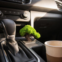 Lucky Tree Car Dashboard Ornament Miniature Landscape Decor