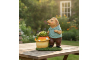 Hedgehog Statue with Planter Outdoor Hedgehog Planter Resin Cartoon-Style for Gardeners, Flower Beds, Patio