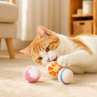 pet toy balls