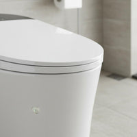 Auto Flush Smart Toilet Self-Cleaning Nozzle Electronic Bidet Toilet Massage Wash Bathroom Fixture Wireless Controller Control for Elderly