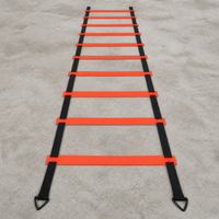 Agility Training Set, Training Equipment, Soccer, Agility, Training Gear, Explosive Power Enhancement, Footwork Practice Ladder, With Storage Bag