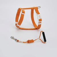 Kitten Harness and Cat Leash Set, Polyester Travel Harness with Buckle, 150cm Kitten Leash for Outdoor Cat Pet Walking