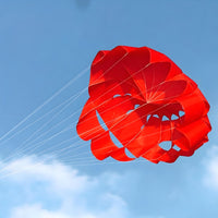 twoLine Sport Kite Large Kite with Line Boards Full-Sized Toy for Park