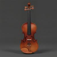 Acoustic Violin Complete Violin Outfit String Instrument Wooden Glossy for Beginners, Lessons, Practice