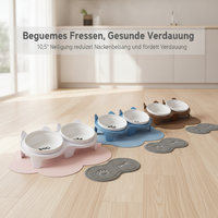 Ceramic Elevated Double Cat Bowls with Anti-Slip Stand for Neck Protection