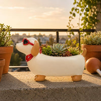 Painted Finish Resin Dachshund Pot Exposed Cavity Dachshund Planter Standing Legs Desktop Planter Small Plants for Desk