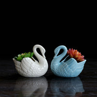 European Style Ceramic Swan Planter for Hydroponic & Succulent Plants, Desktop Flower Pot