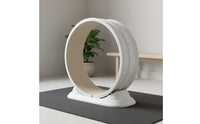 Anti Pinch Foot Design Indoor Feline Running Wheel Sturdy Base Feline Exercise Wheel Silent Operation for Home
