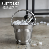 Stainless Steel Ice Bucket with Handle for Bar, Parties, and Snacks