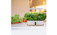 Hydroponic Planter with LED Grow Light Self-Watering Indoor Hydroponic Garden Indoor Garden with LED Grow Light Fresh Bright