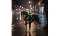 Reflective Dog Vest Harness Lightweight 2-in-1 Dog Harness Leash Get Loose-Resistant for Outdoor