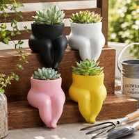 Lazy Chubby Legs Potted Cactus Succulent Plant for Living Room Balcony Office Desk