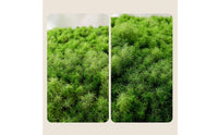 Artificial Moss Panel Natural-Looking Moss Mat Faux Grass Panel Dense Grass Wall Backdrop Textured for Event Planners