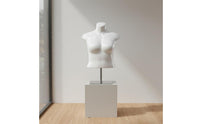 Size Female Mannequin Realistic Body Shape Female Torso Mannequin Glossy Finish Neckless Clothing Figure for Boutique Owners, Shop Window