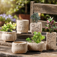 succulent planters