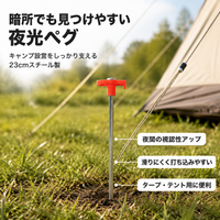 tent stake