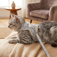 Cat Harness and Leash Set for Outdoor Cat, Soft Textile Construction, Non-Retractable Cat Walking Leash for Training and Walking