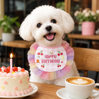 Plaid Dog Birthday Bandana and Hat Set, Princess Dog Birthday Outfit for Small Dogs, Lace Trim Pet Party Accessories