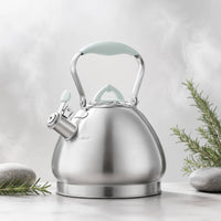 Whistling Stovetop Kettle Rust-Resistant Whistling Kettle Classic Cookware for Kitchen