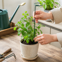 Plant Stakes, For Climbing Plants, For Houseplants, Green, Iron, 6cm, Round, Set of 9, Flowers, Potted Plants Support