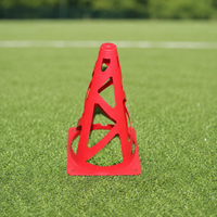 training cone