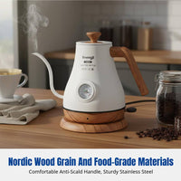 Stainless Steel Electric Gooseneck Kettle, Temperature Control, Drip Over Coffee Pot, Insulated, Fast Heating