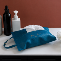 car hanging tissue holder