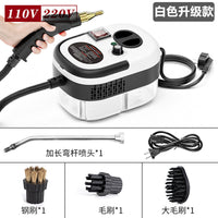 High-Temperature High-Pressure Steam Cleaner 110V/220V