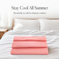 Cooling Nylon Summer Quilt and Mat Combo for Home and Pets