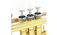 Trumpets Straight Bell Trumpets with Carrying Case Bright for Educational Band