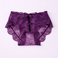 Women's Knickers with Lace Trim and Gusset for Daily Use, Nylon Material Breathable Mid Rise Design for Everyday Wear