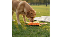 Dog Foraging Mat Slow Feeder Foraging Mat Food Hiding Puzzle Toy