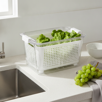 Japanese-Style Double-Layer Draining Storage Box for Refrigerator, Vegetable and Fruit Crisper