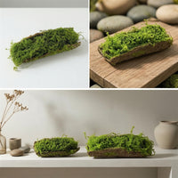 Woodland Decorative Mossy Tree Bark Woodland-Themed Artificial Tree Bark Decor Naturalistic Moss Covered Log Rustic for Terrarium, Photography Setup, Shop Display