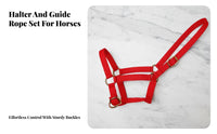 Double Ply Horse Headcollar Additional Thick Horse Leading Halter Equestrian Supplies Reinforced Long-Lasting for Training