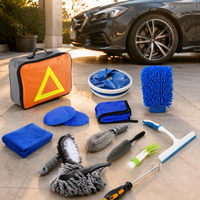 car cleaning kit