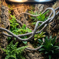 Snake Accessories for Vivarium, Humidity Resistant Vine, Sagging Resistant Bark-Textured Soft Artificial Branch for Climbing Reptiles, 1m