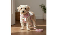 Harness and Leash Set Adjustable Chest Strap Breathable Dog Harness for Small Dogs, Young Dogs, Outdoor, Walking