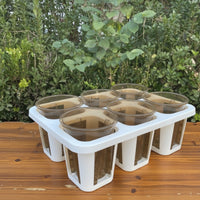 Planting Tray with Pots Drainage-Friendly Six-Slot Planter Tray Strong Nursery Pot with Drain Holes for Hobbyists
