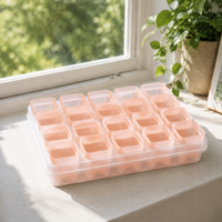 Seedling Pots, 5cm, With Water Saucer, PP Material, Semi-transparent, Set of 3, For Succulents, Sowing, Cuttings