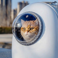 Cat Backpack Pet Carrier, PC Material Large Capacity Pet Backpack, Travel Backpack for Cats and Cat Travel Bag for Hiking Walking
