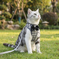 Cat Harness and Dog Leash Set with Matching Cat Leash and Dog Harness, Adjustable Pet Harness for Outdoor Walking, Vest Style for Small Dog Pets