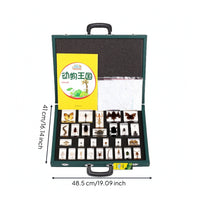 Educational Exhibition Set Portable Nature Study Kit Hardcover Sample Case with Handle for Homeschoolers