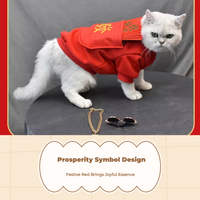 Cat Hoodie, Warm Acrylic, Autumn Winter Pet Apparel