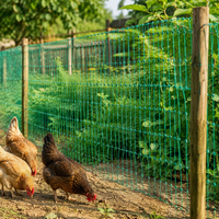 Synthetic Chicken Coop Netting, Dark Green Net, 3 cm, Support Rope Included, Weather-Resistant