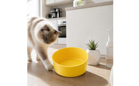 Anti-Tip Double Cat Bowl Set Large Caliber Double Pet Bowl Set Easy to Clean Double Pet Dish Non-Slip for Cats, Small Dogs