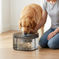 Automatic Pet Water Dispenser Large Capacity Electric Cat and Dog Water Bowl Layered Filtration Circulating Pet Waterer for Dogs, Cats
